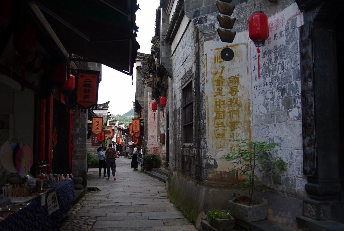 拯救树精灵